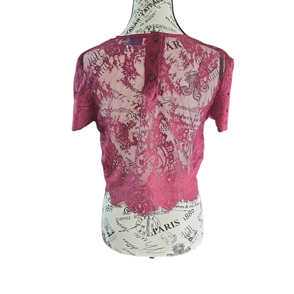 Lizard Thicket Burgundy Lace Crop Top - Picture 3 of 6